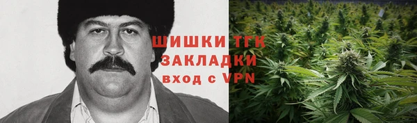 крисы Абдулино