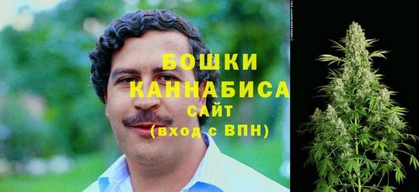 крисы Абдулино
