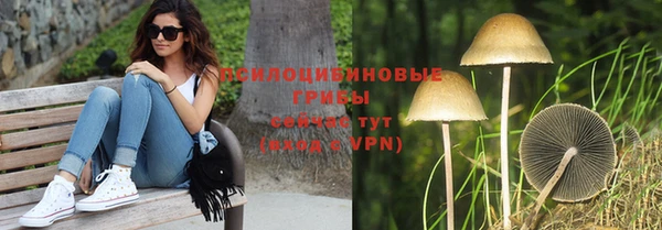 спиды Абаза