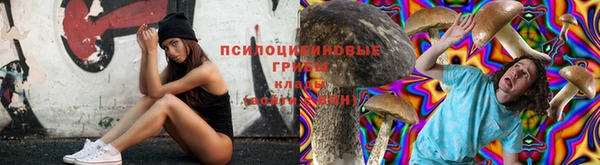спиды Абаза