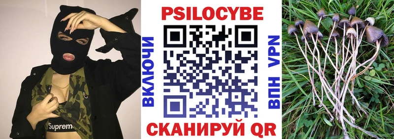 Псилоцибиновые грибы Psilocybine cubensis  Вышний Волочёк 